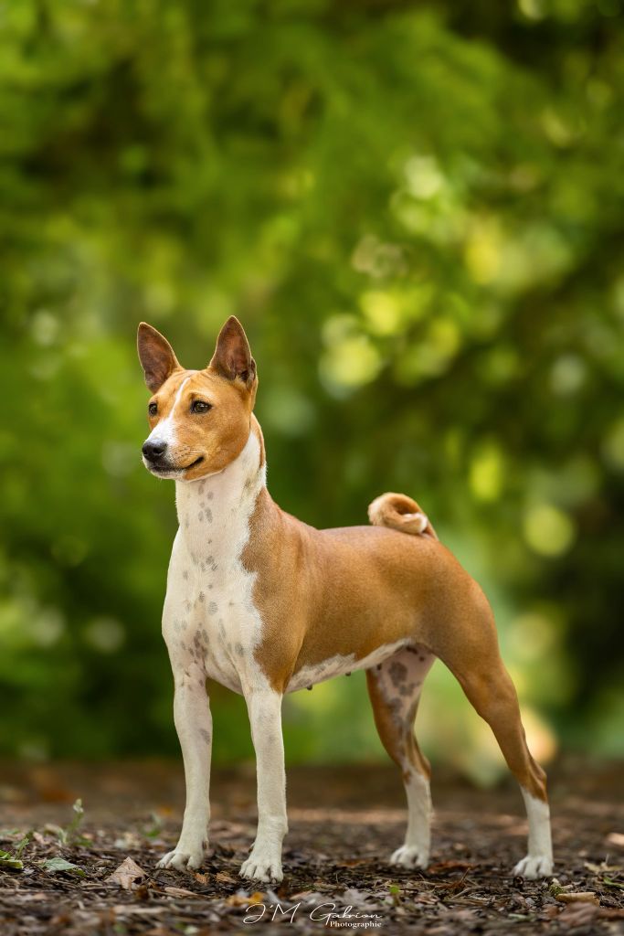 Torvi Du Domaine D’Emavina